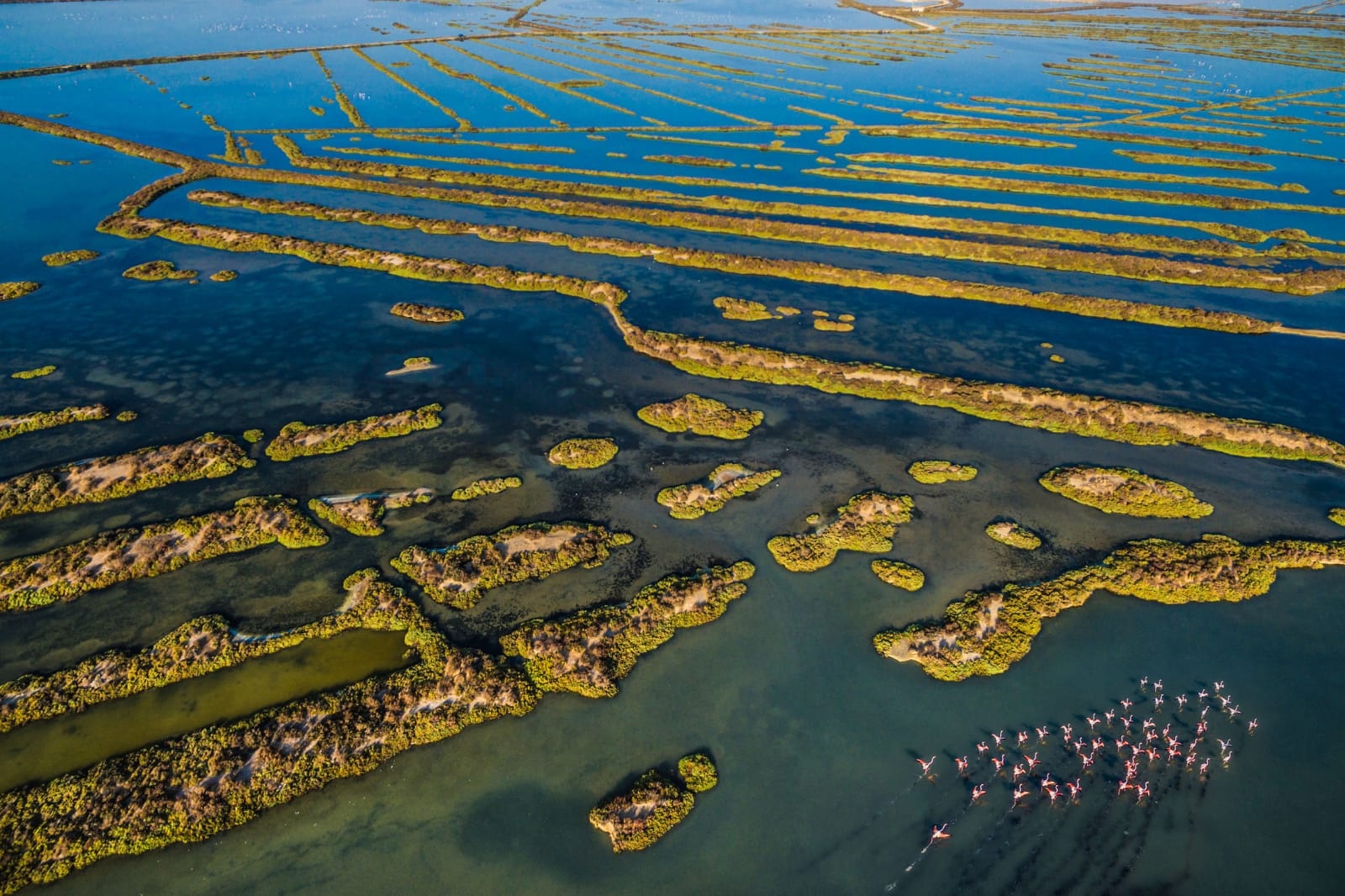 Ganador nacional concurso fotografía plan del árbol