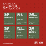 24-11-28 DIS Alumbrao-RRSS-2