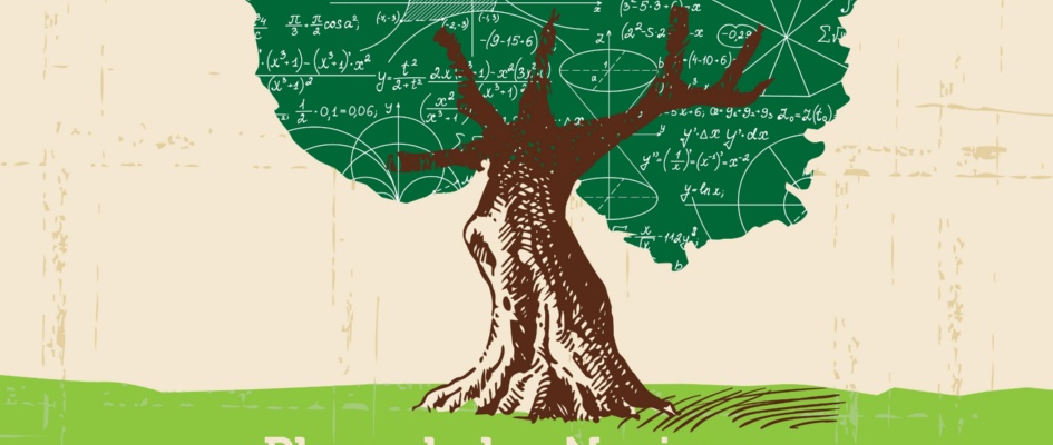 Cartel Matema¿ticas en la calle 2018