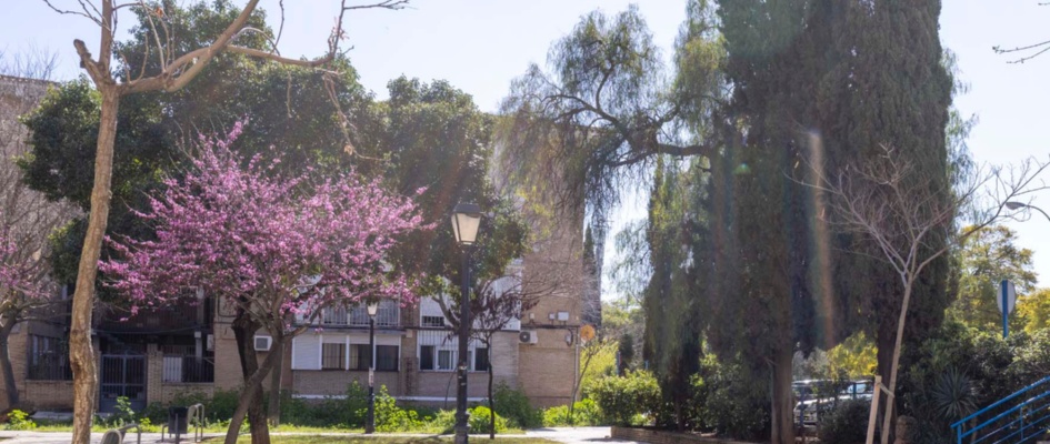 DZM_AYTO_20240306_0066 copia