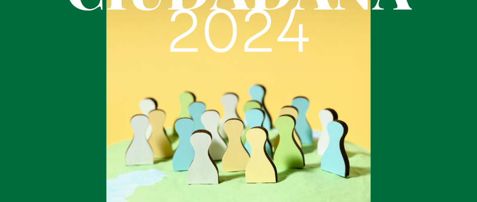 24-11-20 Subvenciones Participación Ciudadana 2024